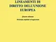 Lineamenti di diritto dell'Unione Europea. Ediz. ampliata