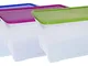 CONTENITORE PLASTICA 'SPACE BOX' CON COPERCHIO CM. 56X39,5X29