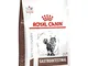 Royal Canin Veterinary Gastrointestinal | 400 g | Cibo Secco per Gatti | può Aiutare a sos...