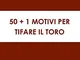 50+1 motivi per tifare il Toro