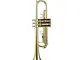 Set di trombe in Sib standard, strumento per tromba professionale in rame fosforizzato oro...