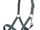 HKM 4057052242564 - Cavezza Innsbruck-5900, Pony Verde Scuro