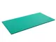 Airex Hercules Tappetino da ginnastica ca. 200x100x2,5 cm, Verde, 200 x 100 x 2,5 cm