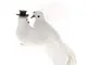 Demiawaking 2 Pezzi Colombe Bianche Decorative Uccelli Artificiali con Clip Colombe Decora...