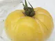 20 semi di ORGANICO Brandywine Pomodoro Giallo Raro Heirloom costoluto non - GMO freschi