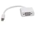 Rotronic ROLINE Adattatore (Mini DisplayPort Maschio a VGA Femmina)