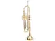 WYKDL Strumento Musicale degli Adulti Professionale Trumpet Trumpet B-Flat Tromba Strument...
