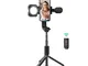 Treppiede Selfie Stick, BlitzWolf Bastone Selfie Estensibile con Luce e Microfono per Vlog...