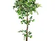 Decovego Fico Ficus Benjamin Pianta Albero Artificiale Plastica Bianco con Legno Naturale...