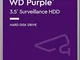 Western Digital WD40PURZ WD Purple Hard Disk per Videosorveglianza con Tecnologia Allframe...