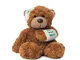 Aurora Bears-Orso di Peluche Bonnie Get Well Soon, 23 cm