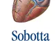 Sobotta Atlas of Human Anatomy, Package, 15th ed., English: Musculoskeletal system, intern...