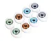 Elandy 8 Paia 4 Colori Ovale Acrilico Hollow Safety Doll Making Eye Dolls per l'artigianat...