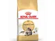 ROYAL CANIN FBN Maine Coon Adult - Dry Food for Adult Cats - 4kg