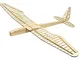 RC Glider Planes, DW Hobby Sunbird Balsa Wood Model Airplane 1599 mm Wingspan, Radio pilot...