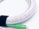 Elfcam Cavo Fibra Ottica SC/APC per SC/APC Simplex Monomodale 9/125μm LSZH, Bianco/Verde,...