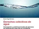 Derechos colectivos de agua: Concepción y prácticas locales de ejercicio en sistemas de ri...