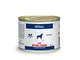 Royal Canin Renal Canine 12 x 200 g di cibo umido