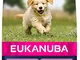 Eukanuba Cibo Secco per Cuccioli di Taglia Grande, Ricco di Agnello e Riso, 12 kg