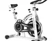 HOIHO Indoor Cycling Cyclette Spin Bike Training Bike Machines Regolabili Manubri E Sedili...