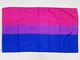 AZ FLAG Bandiera Arcobaleno BISESSUALE 150x90cm - Gran Bandiera BISESSUALITÀ – Rainbow Fla...