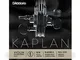 Corda singola MI D'Addario Kaplan Golden Spiral Solo per violino, scala 4/4, tensione medi...