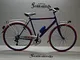 Cicli Ferrareis City Bike Uomo 28 Acciaio e Blu Rosso 6v Personalizzabile