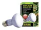 Askoll 281514 Exoterra Sun GLO Lampada Focale 50.W