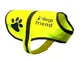 4LegsFriend Gilet riflettente per cane, 5 taglie, alta visibilità per attività all'aperto,...