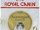 Royal Canin - Rc Norvegese Kg. 2