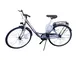 F.lli Masciaghi Bici Donna Venere 26" Shl 26000 Grigio Rosa