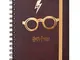 Erik® - Agenda 2020 Harry Potter, Limited Edition, 12 mesi, settimanale, A5, multiuso e ve...