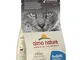 almo nature Holistic Sterilised - con Salmone.Cibo Secco per Gatti Adulti 6 Sacchetti x 40...