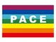 HPMAISON 90 X 150 cm Pace Bandiera Arcobaleno Piede LGBT Gay per Interni all'aperto Pace C...