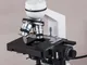 Mabelstar XP401 microscopio biologico monoculare