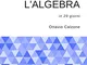 Capire l'algebra: precorso di matematica in 29 giorni