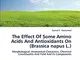 The Effect Of Some Amino Acids And Antioxidants On (Brassica napus L.): Morphological, Ana...