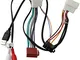 AERZETIX - Adattatore cavo - Spina ISO USB RCA - Per autoradio - C40120