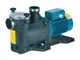 Calpeda Pompa Autoadescante Mpc61 400 V - 1,5 Kw - 21 M3/h