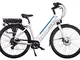 Brinke Bicicletta Elettrica Life Comfort (Taglia M)