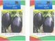 GEOPONICS SEED ovale Brinjal Gran Verdure semi 2 confezioni dei semi (300 per pacchetto)