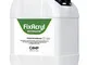 Camp FIXACRYL ANTIMUFFA, Fissativo 100% acrilico isolante anti-muffa, Previene la formazio...