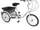 Triciclo per Adulti, 3 Biciclette con Cestino per la Spesa, Triciclo per Adulti e Anziani...