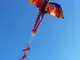 LANDUM Kite per i Bambini,  Aquilone Drago 3D con aquiloni di Coda per aquiloni Adulti Che...