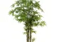 Europalms 82509247 Bamboo Tronco Nero, 240 cm, Taglia Unica