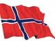 R&F srls Bandiera Norvegia Nazionale Tessuto Misura Standard 90 X 150 cm