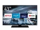 Nokia Smart TV 4300B 43 pollici TV LED (Full HD, AV Stereo, contrasto dinamico, assistente...