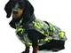 Fashion Dog Trapuntino per cani specifico per bassotto camouflage, 47 cm