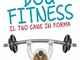 Dog Fitness