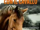 Come Comunicare Con Il Cavallo: Il Linguaggio Non Verbale Tra Cavallo E Cavaliere